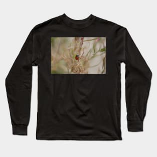 Ladybird Long Sleeve T-Shirt